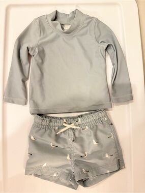 Kids Long Sleeve Rash Guard and Seagull Swim Shorts - Light Gray